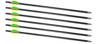 Traditions Firebolt 2216 Arrow 6 Pack - For Crackshot XBR