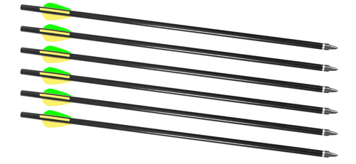 Traditions Firebolt 2216 Arrow 6 Pack - For Crackshot XBR